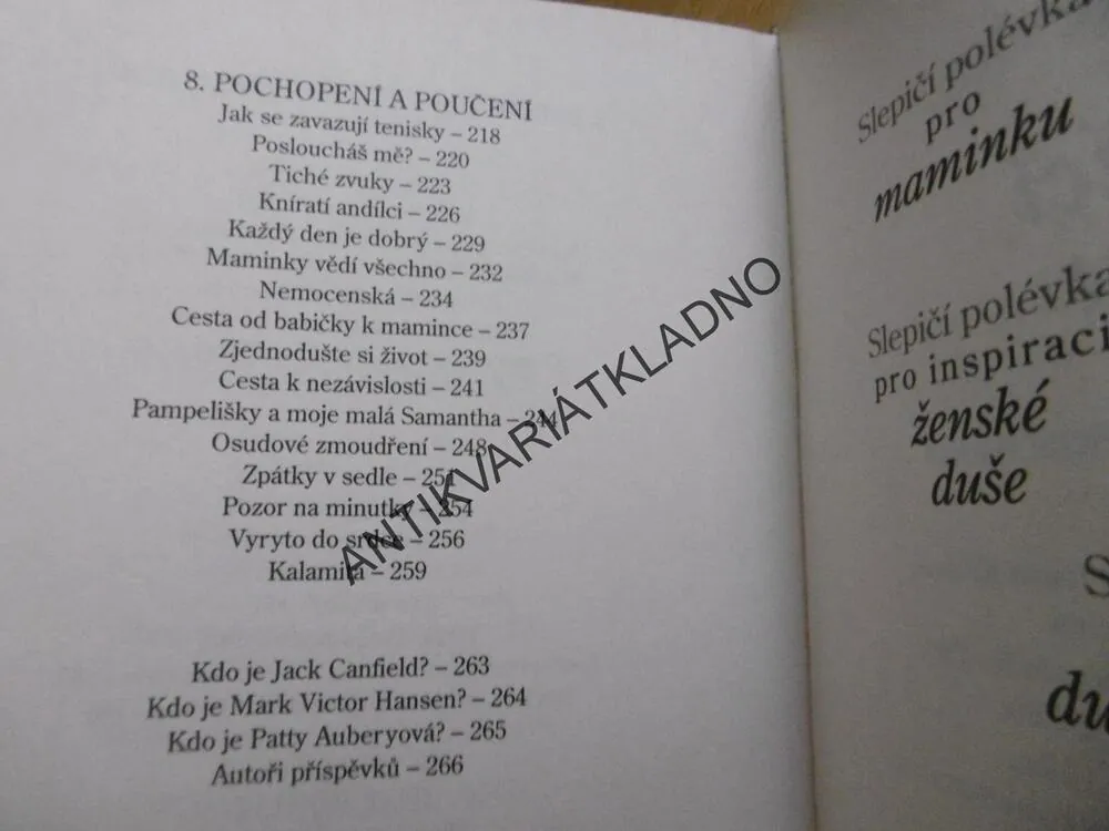 SLEPIČÍ POLÉVKA PRO PRACUJÍCÍ MÁMU,**an