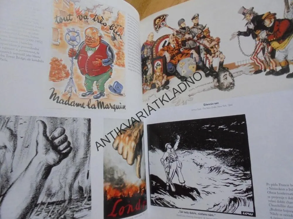 DRUHÁ SVĚTOVÁ VÁLKA V KRESBÁCH A KARIKATURY,BRYANT, **an