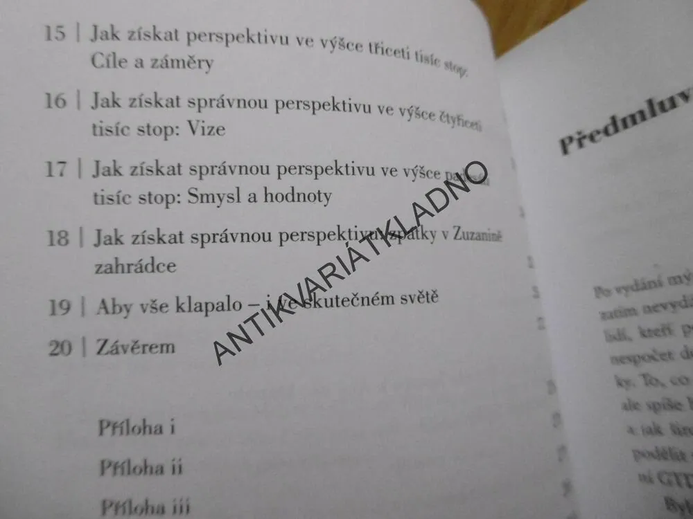 ABY VŠE KLAPALO, DAVID ALLEN, 