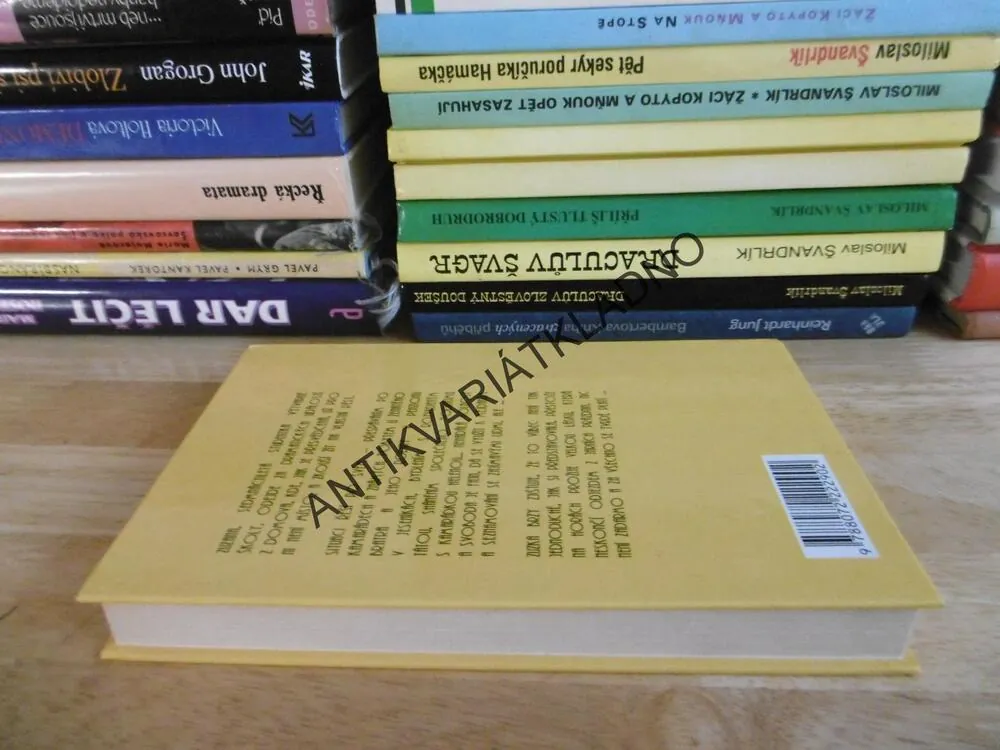 DEVÁTÉ NEBE, LENKA LANCZOVÁ, **an
