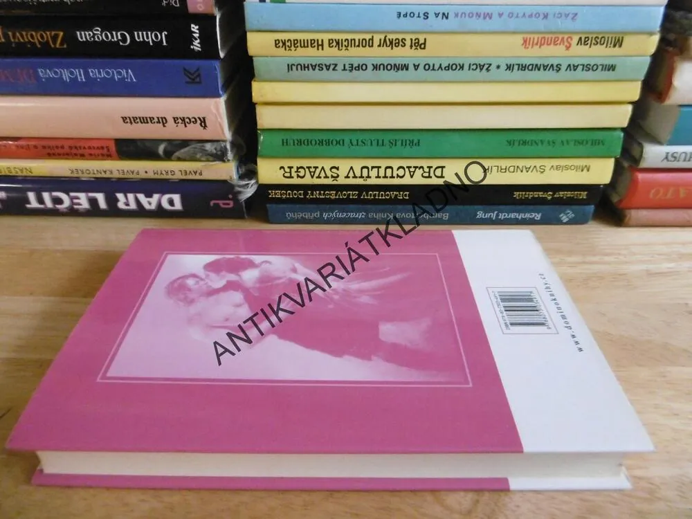 NESPOUTANÉ MYŠLENKY, TERESA MEDEIROS, **an