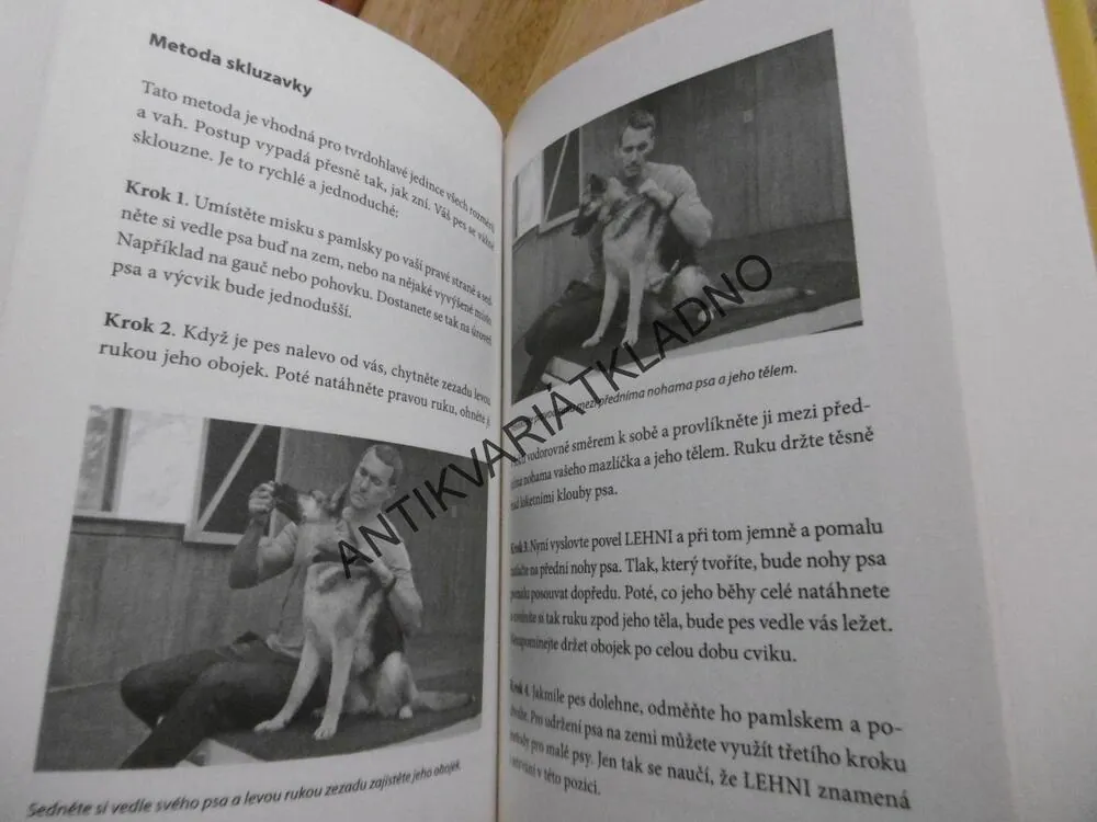 ŠŤASTNÝ PES, BRANDON MCMILLAN,VÝCHOVA, PES, **an