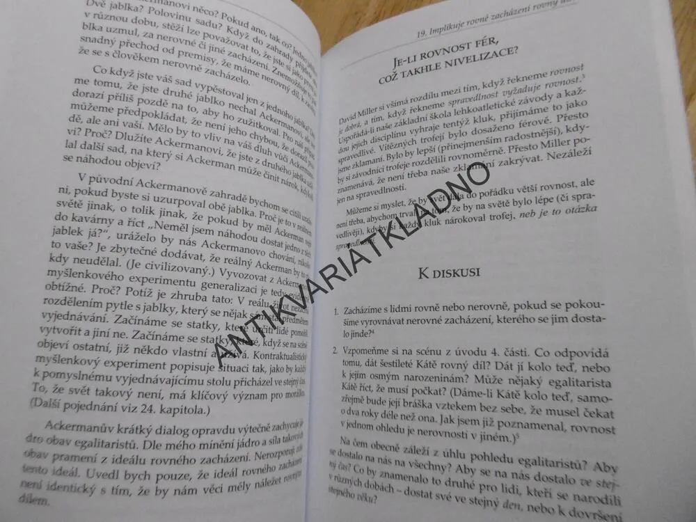 PRVKY SPRAVEDLNOSTI, DAVID SCHMIDTZ, FILOSOFIE,