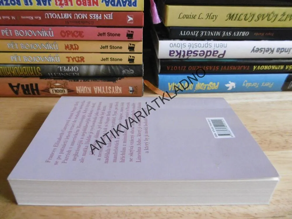 NENÍ ROZKOŠNÁ?, SUSAN ELIZABETH PHILLIPSOVÁ, **an