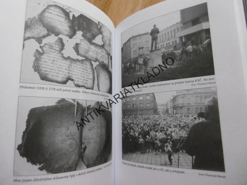 SAMETOVÝ PŘÍBĚH RAKOVNICKÉ REVOLUCE, SLÁVA PILÍK, **an
