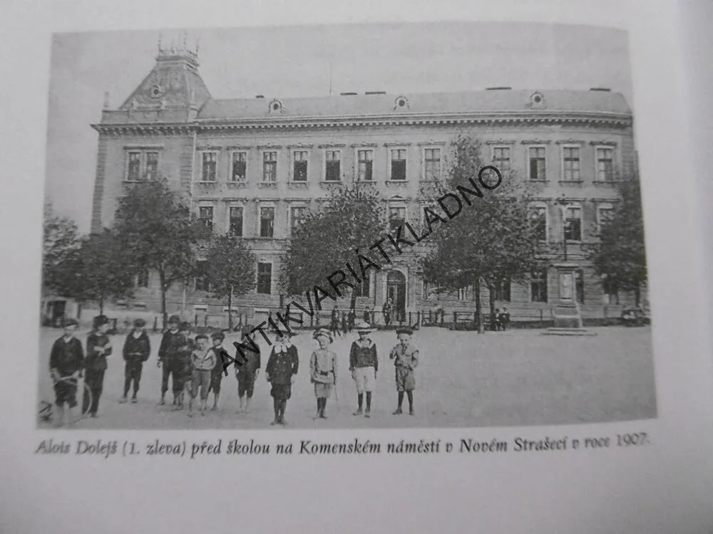 VÁLEČNÉ ZÁPISKY Z PRVNÍ SVĚTOVÉ VÁLKY VOJÍNA DOLEJŠE Z NOVÉHO STRAŠECÍ, DOLEJŠ, **an