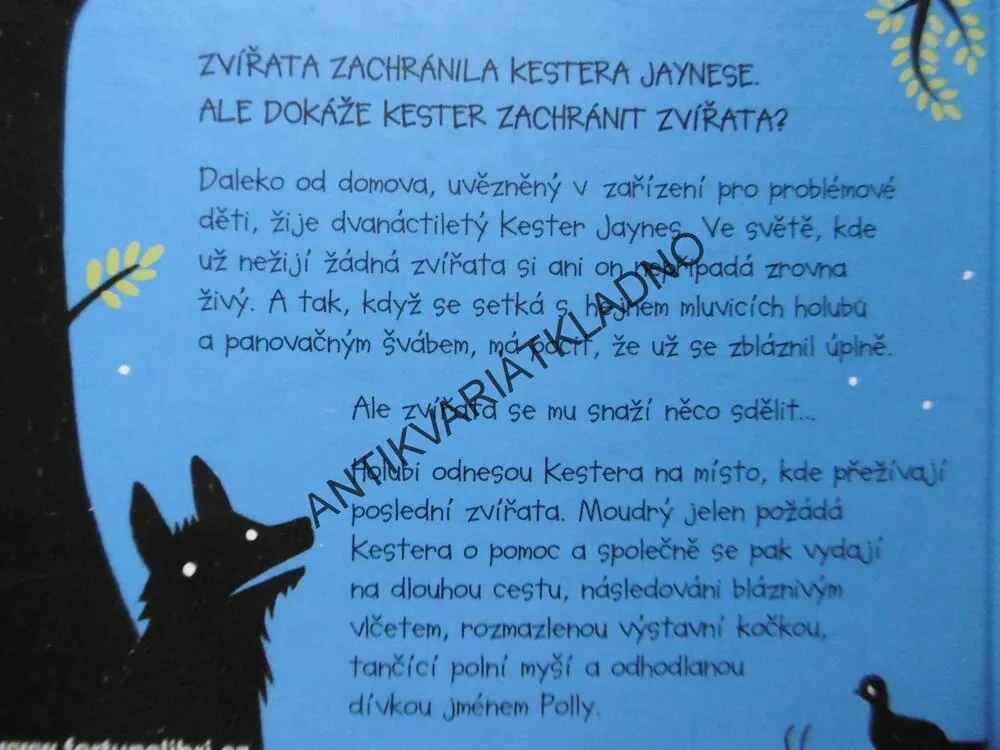 POSLEDNÍ DIVOČINA, PIERS TORDAY, **an