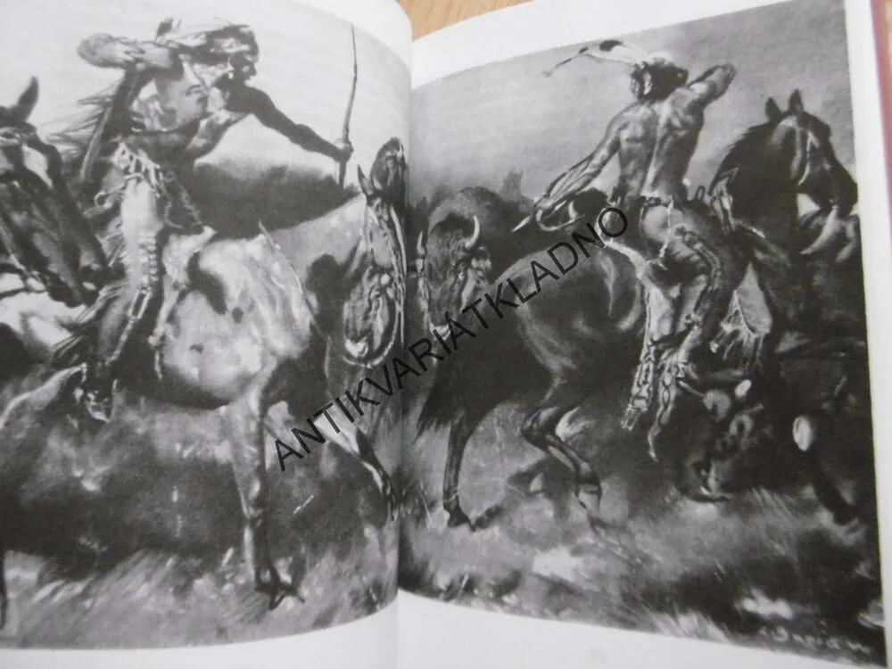 HORAL, STEWART EDWEARD WHITE, S PUŠKOU A LASEM, **an