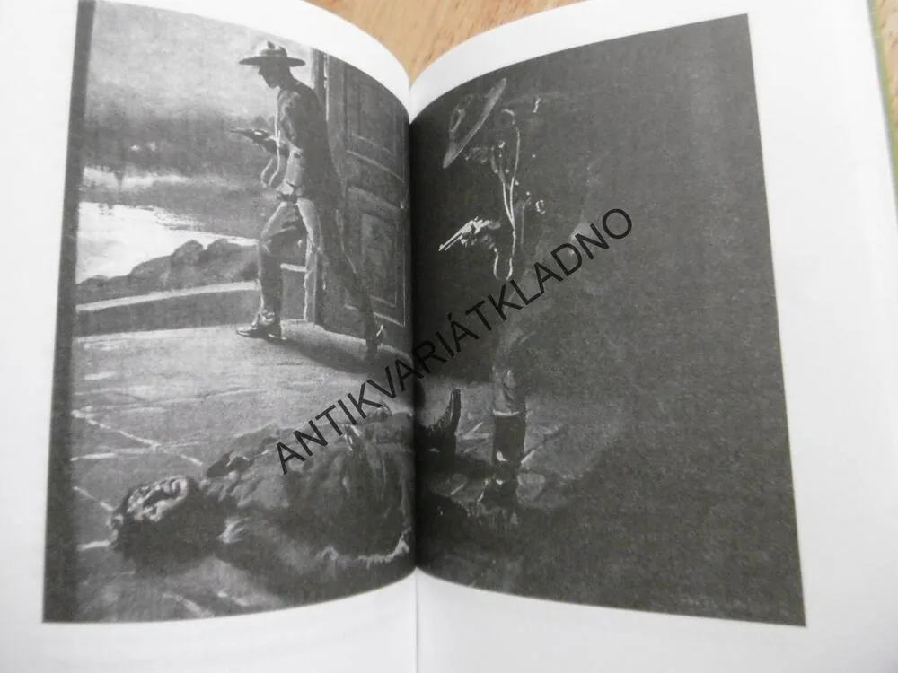 HLÍDKA JEDE NA SEVER, LAURIE Y. ERSKINE, ZDENĚK BURIAN, S PUŠKOU A LASEM, **an