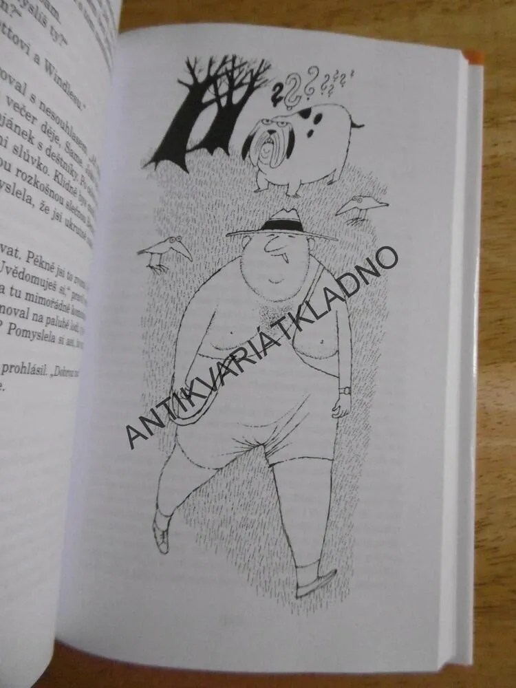 DÍVKA NA PARNÍKU, PELHAM GRENVILLE WODEHOUSE, ADOLF BORN, **an