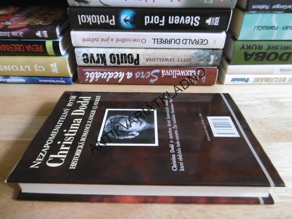 NEZAPOMENUTELNÝ RYTÍŘ, CHRISTINA DODDOVÁ, **an