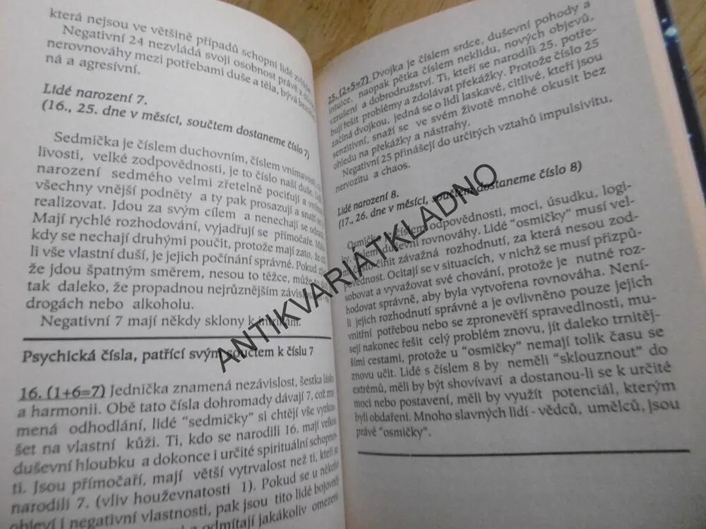NUMEROLOGIE, CESTA K SEBEPOZNÁNÍ, ŠÁRKA SEHNALOVÁ,