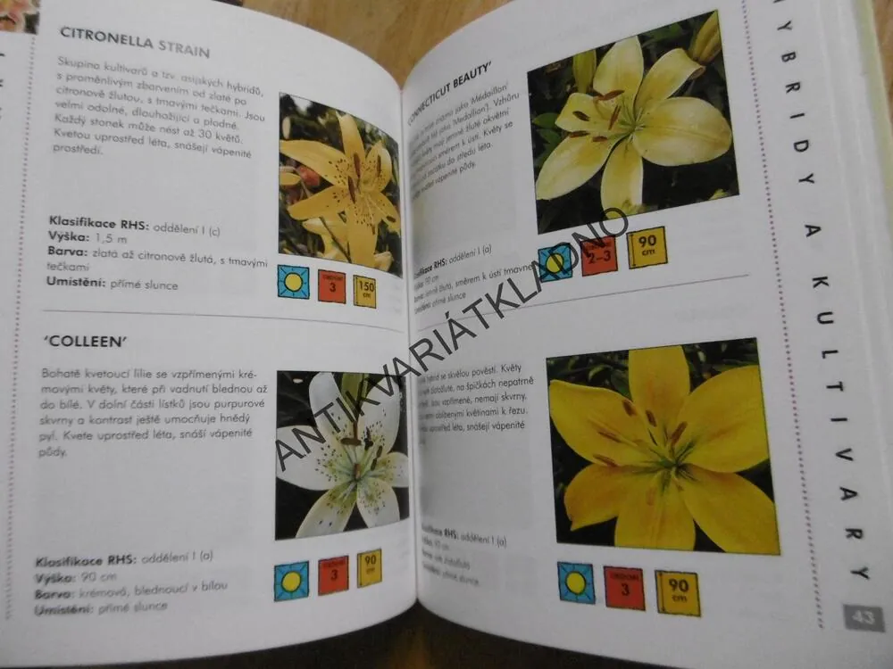 LILIE, OBRAZOVÝ PRŮVODCE 23, **an