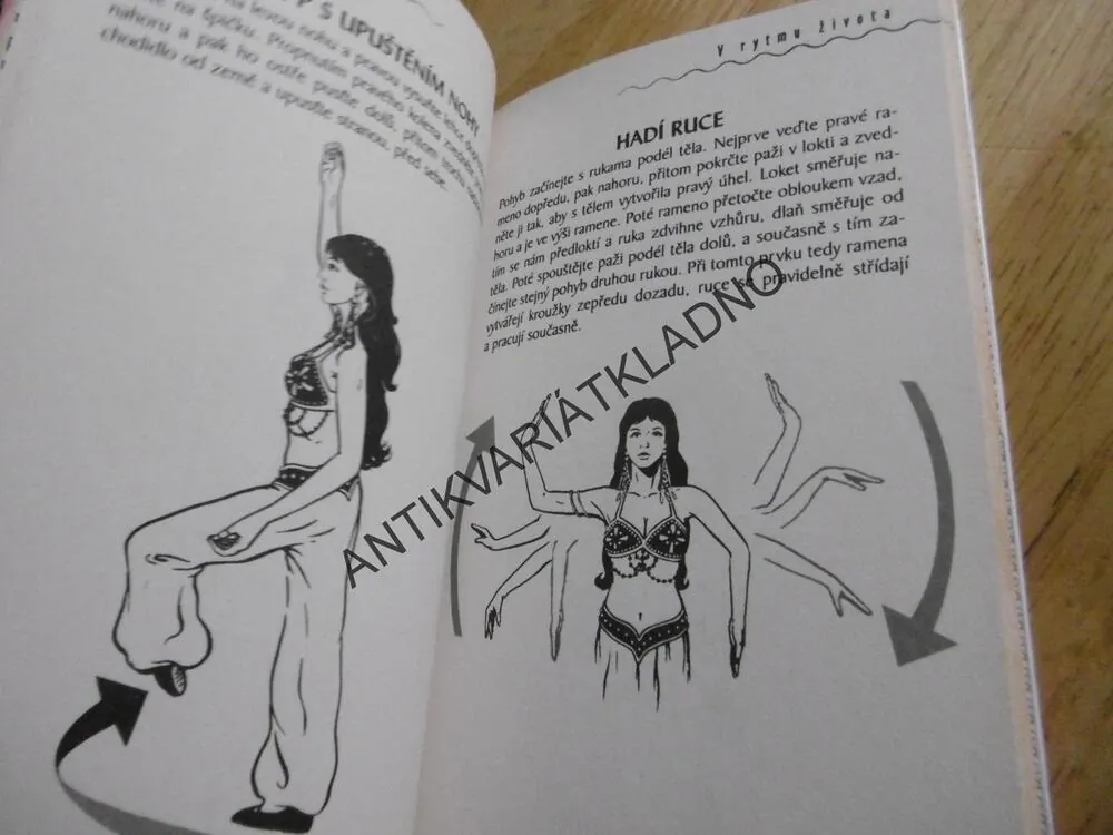 V RYTMU ŽIVOTA, PETR PETŘÍČEK, **an