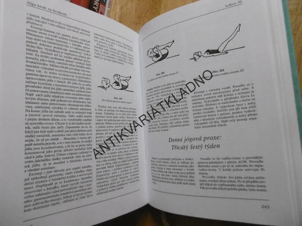 JÓGA KROK ZA KROKEM, UČEBNICE PRO UČITELE A ŽÁKY, DR. SVÁMÍ GÍTÉNANDA GIRI, **an