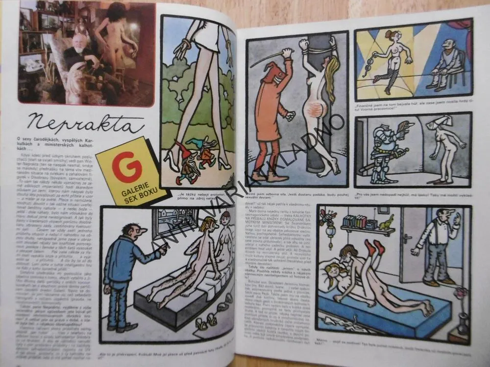 SEX BOX,6.,  MĚSÍČNÍK HUMORU O ŽENÁCH A MUŽÍCH, NEPRAKTA, 1/1990