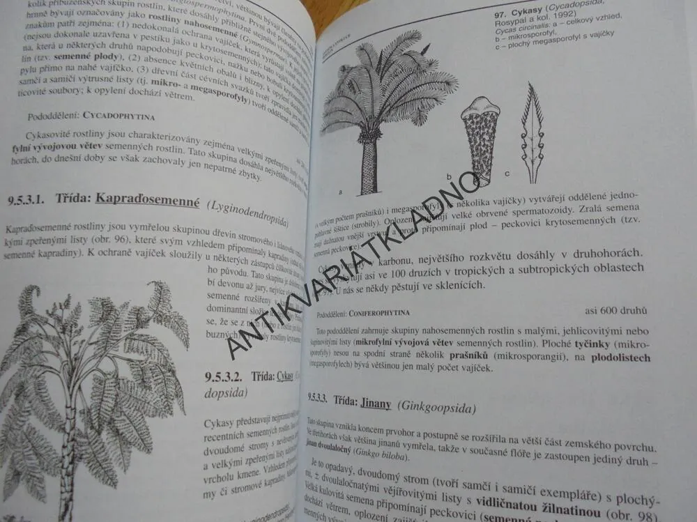 BIOLOGIE ROSTLIN, PRO GYMNÁZIA, KINCL
