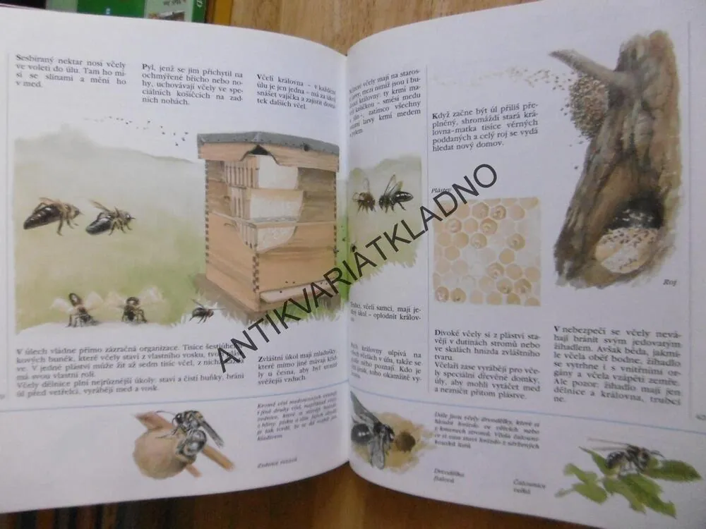 MĚJ RÁD A POZNÁVEJ ZVÍŘATA, SARO DE LA IGLESIA,  **an