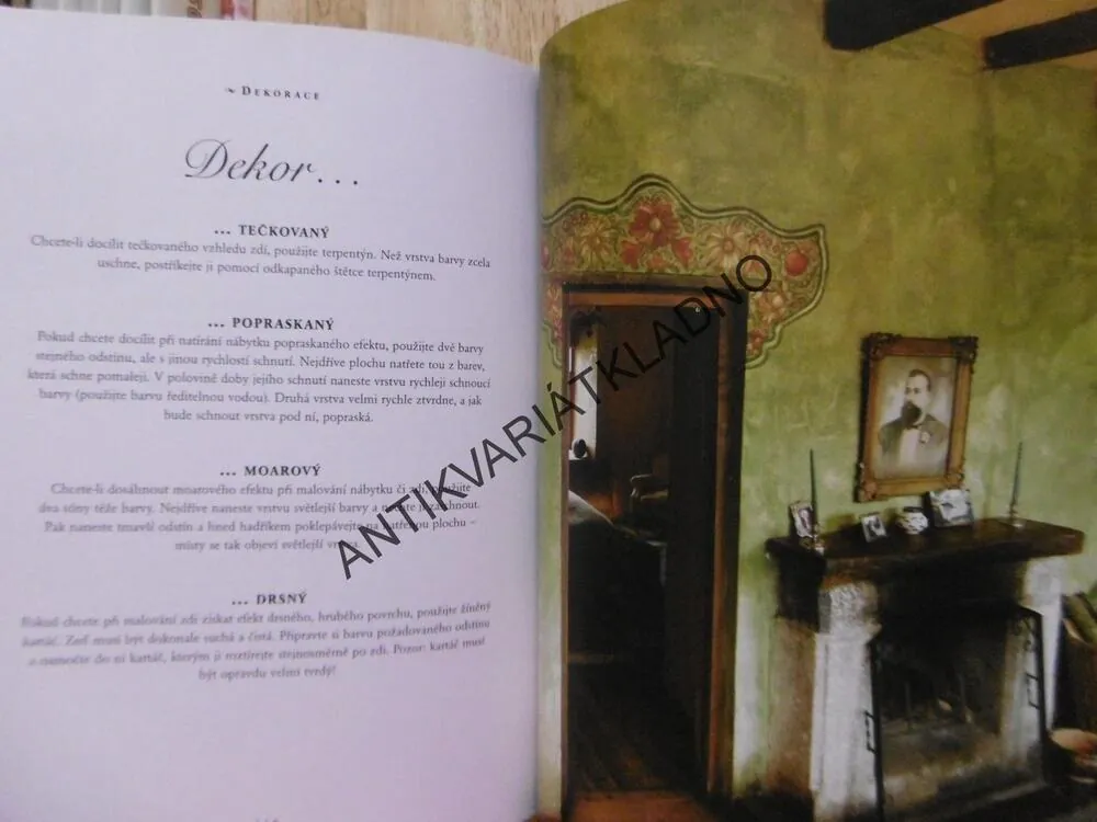 BABIČČINY DOBRÉ RADY, DOMÁCNOST, ZAHRADA, KRÁSA A ZDRAVÍ, NICOLAS PRIOU, **an