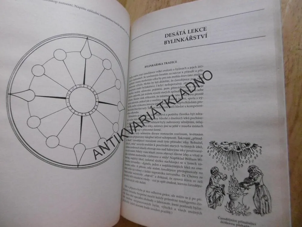VELKÁ UČEBNICE, ČARODĚJNICTVÍ A MAGIE, RAYMOND BUCKLAND