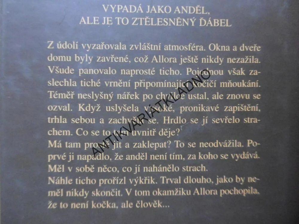 SBĚRATEL DĚTÍ, ĎÁBEL S TVÁŘÍ ANDĚLA, SABINE THIESLEROVÁ. **an