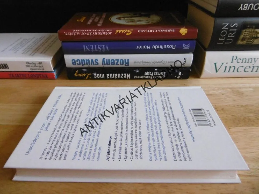PŘEŽIJTE ROZCHOD S ÚSMĚVEM, SUSAN J. ELLIOTOVÁ, **an