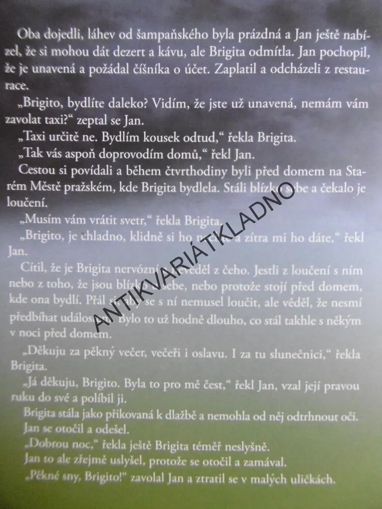BRIGITA, HANA REBEKA ŠIANDER, **an