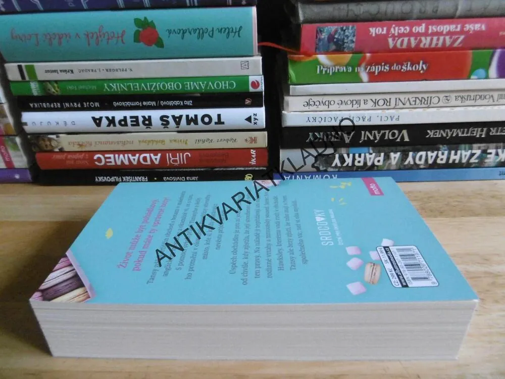 POPELČINY STŘEVÍČKY, TRISHA ASHLEY, **an
