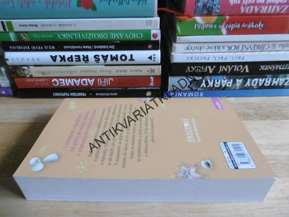 NĚCO JAKO LÁSKA, TRACY BROGAN, **an
