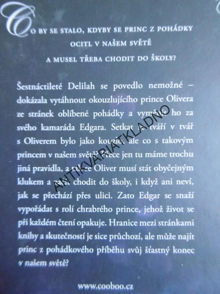 LÁSKA MEZI PÍSMENKY, JODI PICOULTOVÁ A SAMANTHA VAN LEEROVÁ, **an