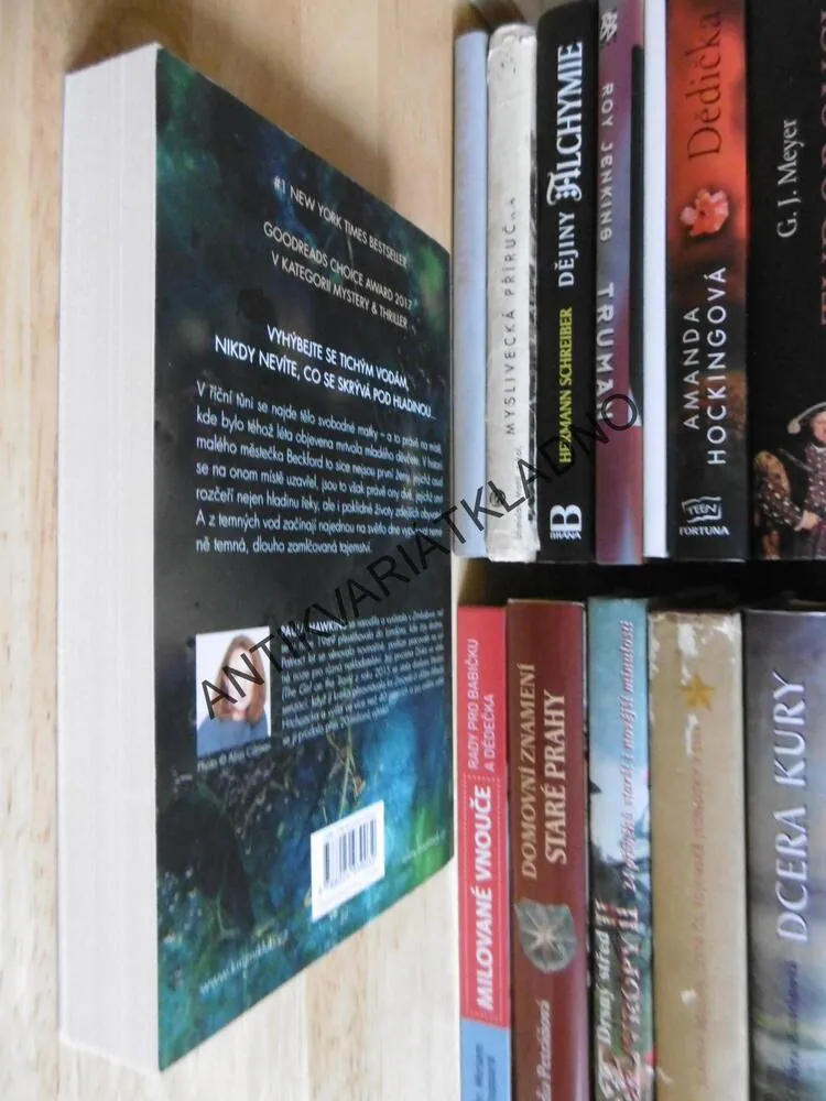 DO VODY, PAULA HAWKINS, (AUTOR DÍVKA VE VLAKU), **an