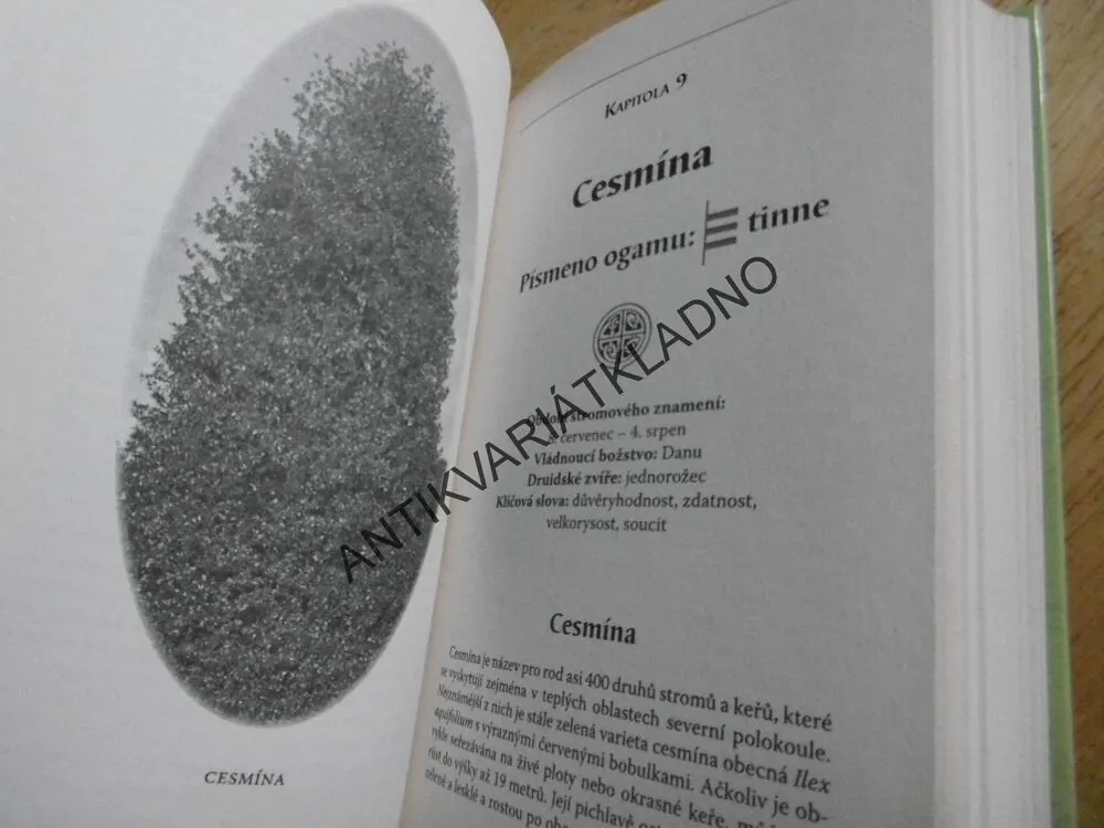 KELTSKÁ ASTROLOGIE, PHYLLIS VEGA, **an