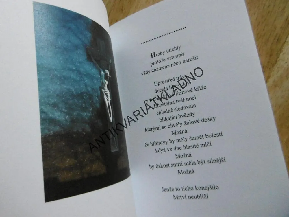 VEČEŘE BEZ RIMBAUDA, TEREZA HEJDOVÁ