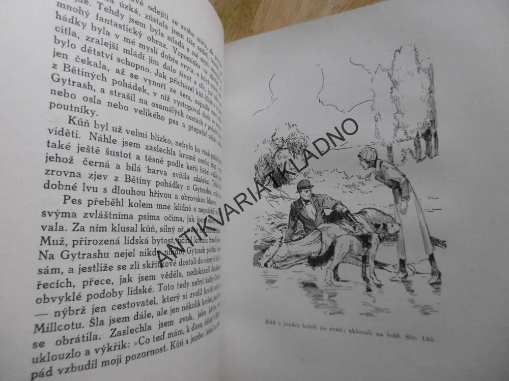 SIROTEK LOWOODSKÝ, SALAČ,CHARLOTTA BRONTEOVÁ,