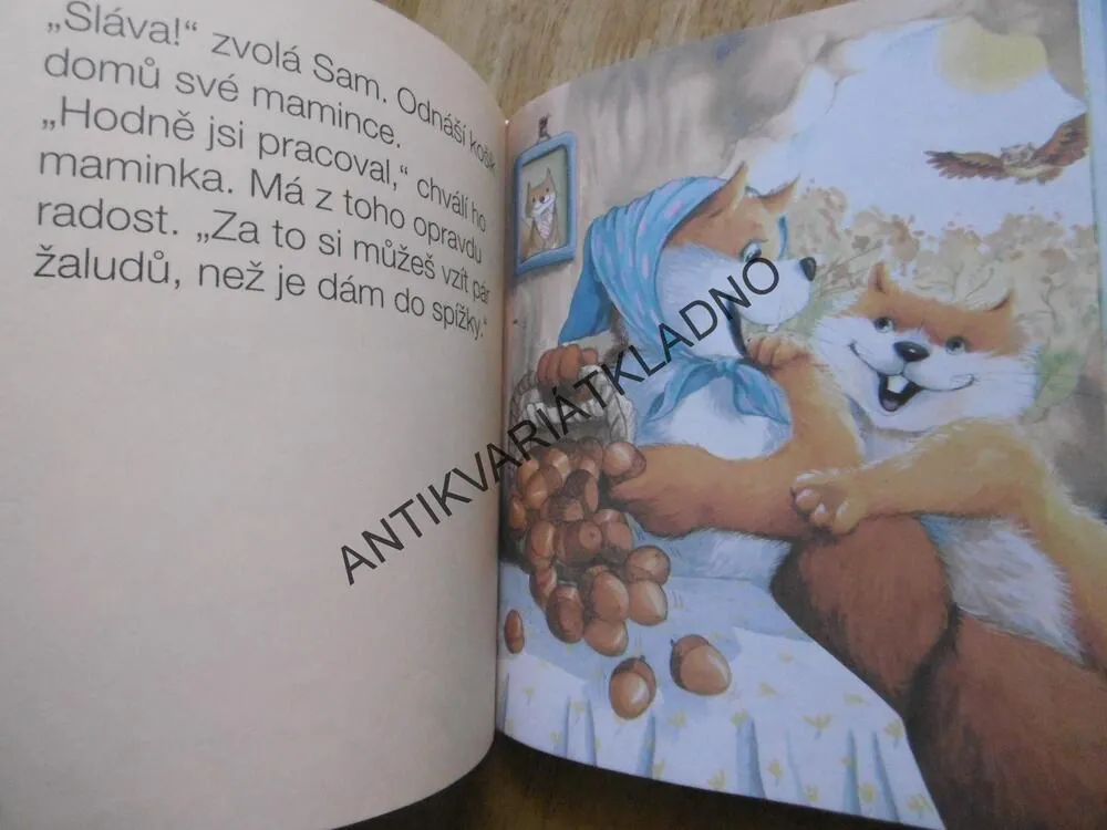 UŽ UMÍM ČÍST, 6-7 LET,**an