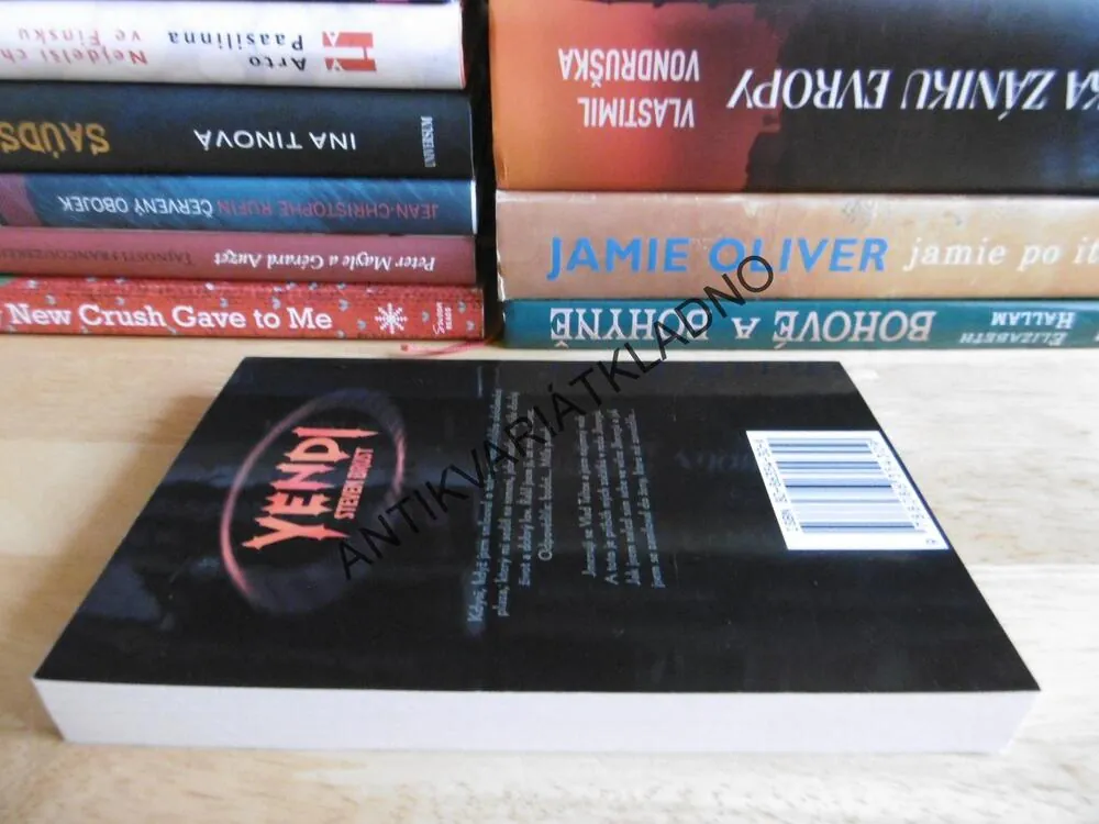 YENDI, STEVEN BRUST, **an