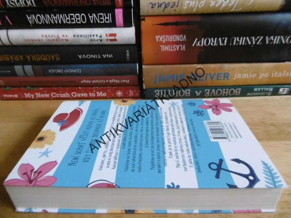 ŽIVOT UDEŘÍ, KAM SE MU ZACHCE, PETRA HÜLSMANNOVÁ, **an
