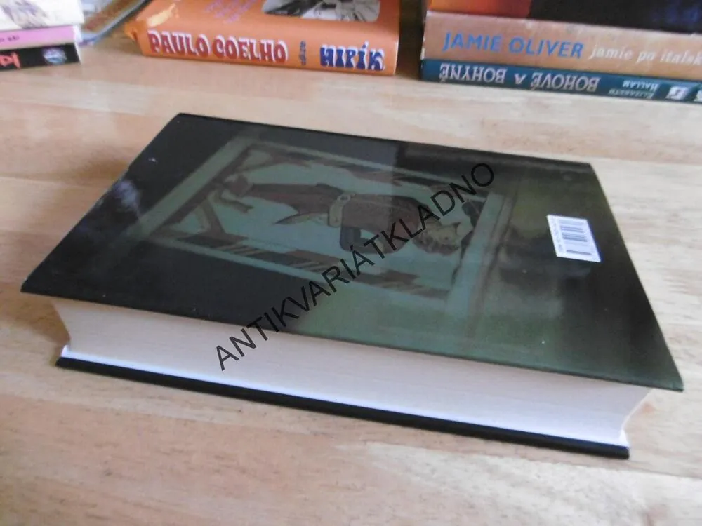 DVANÁCTÁ KARTA, JEFFERY DEAVER, **an