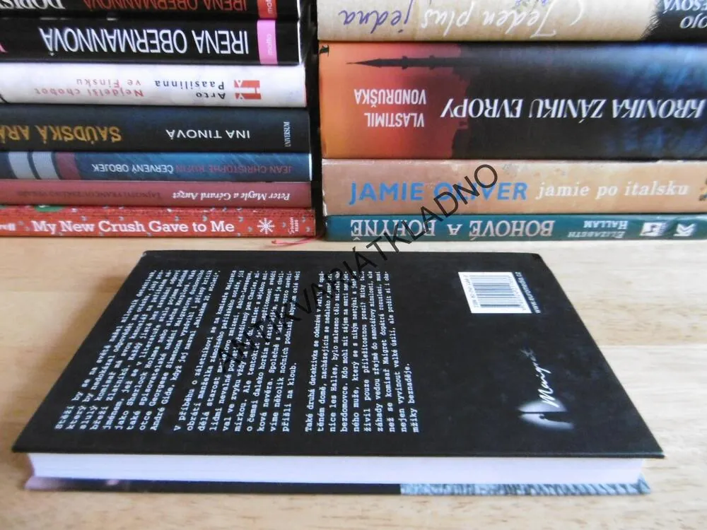 MAIGRET A ZÁLETNÝ PAN CHARLES, MAIGRET A ZÁHADNÝ SAMOTÁŘ, GEORGES SIMENON, **an