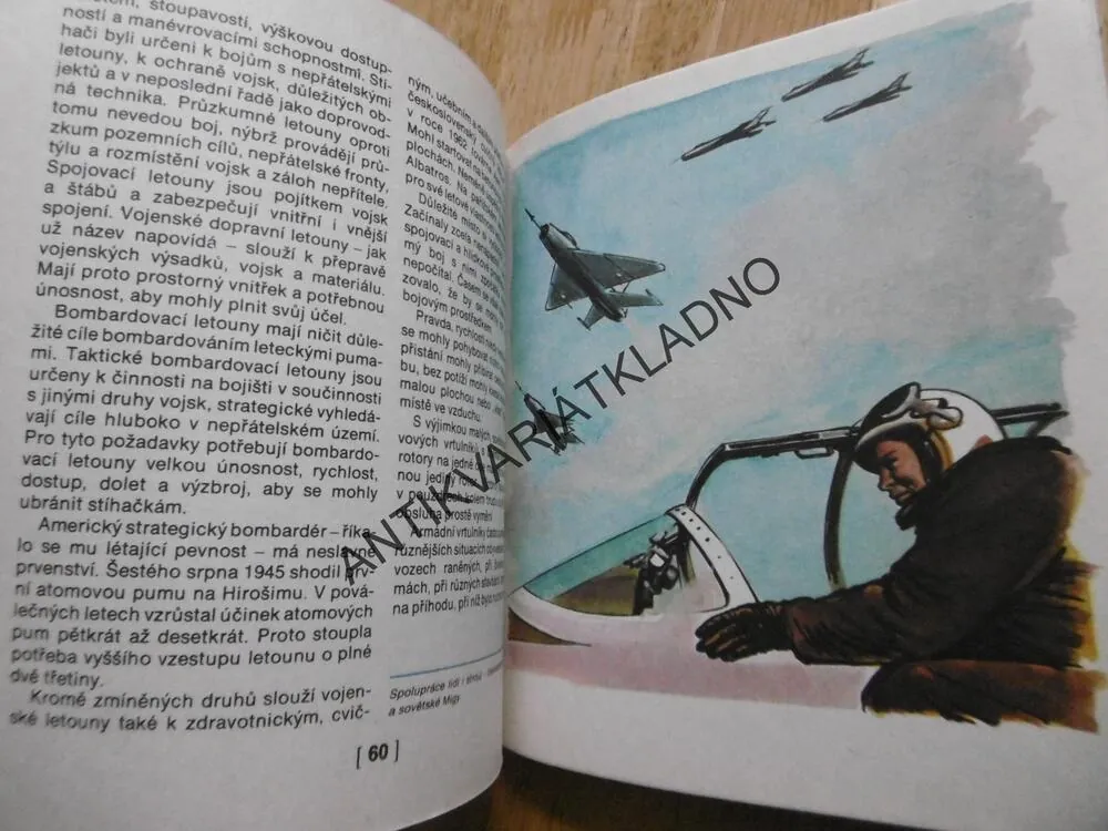 BRATŘI VE ZBRANI, ZDENĚK NĚMEČEK, **an