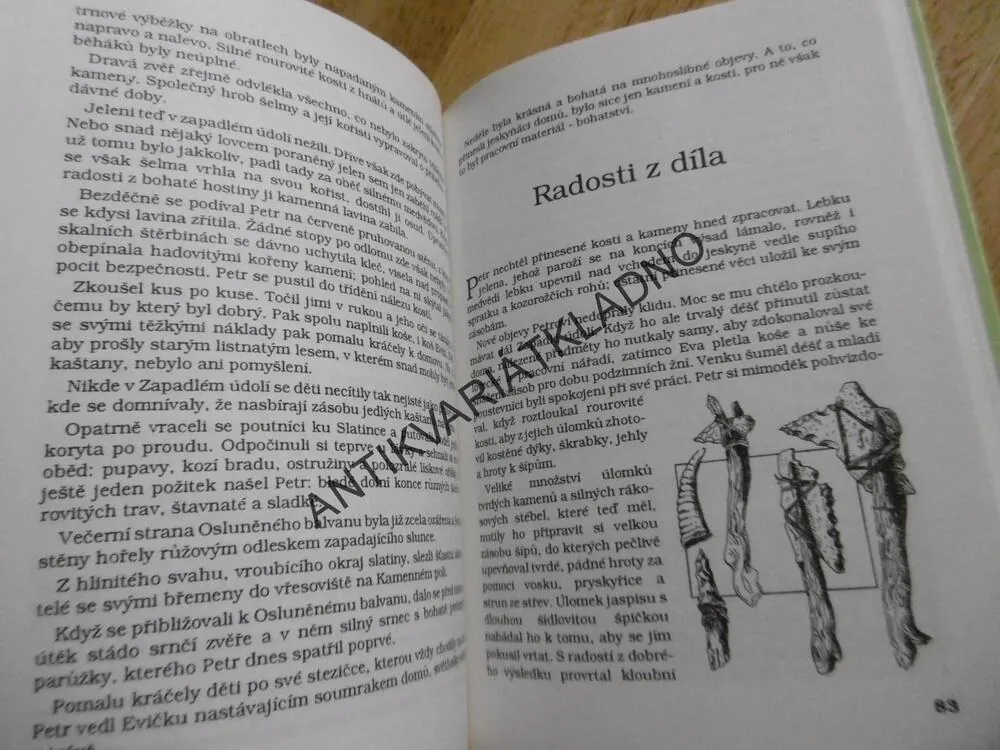 DĚTI JESKYŇ, ZAPADLÉ ÚDOLÍ 1., ALOIS TLUČHOŘ, **an