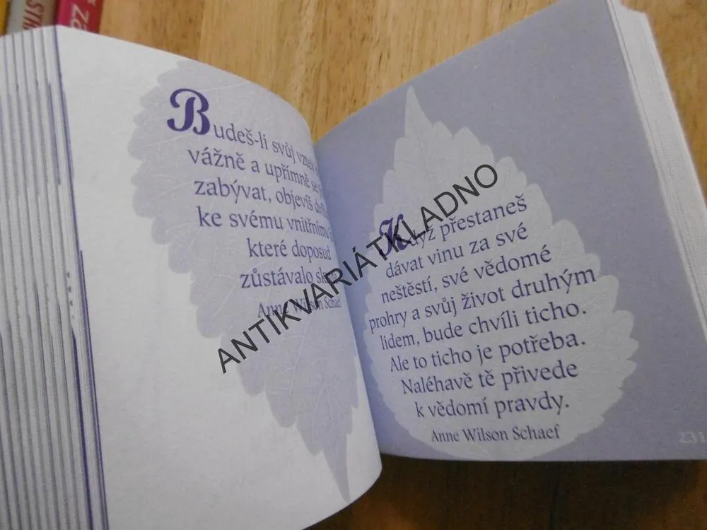 POZITIVNÍ MYŠLENKY PRO KAŽDÝ DEN, , LOUISE L.HAY A PŘÁTELÉ