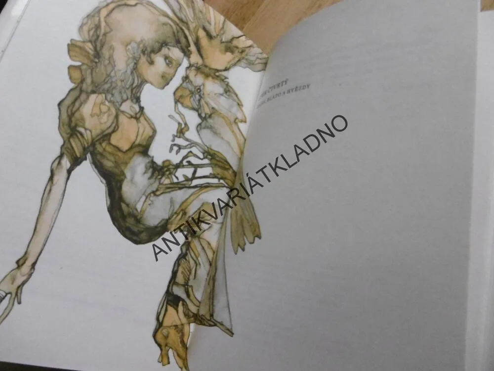 DOUŠEK JEDU, ARTHUR RIMBAUD, **an