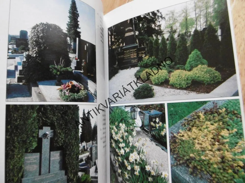 UPRAVUJEME HROBY, MIROSLAVA JANDOVSKÁ, **an