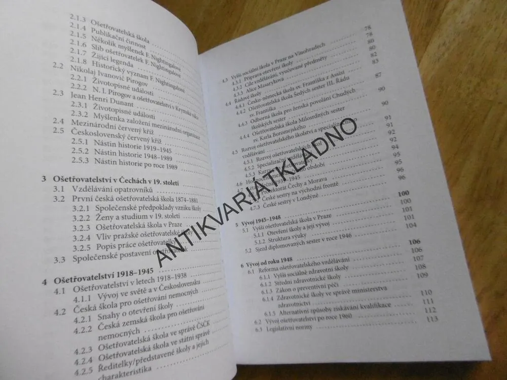 HISTORIE OŠETŘOVATELSTVÍ,  JANA KUTNOHORSKÁ, ZDRAVOTNICKÉ ŠKOLY