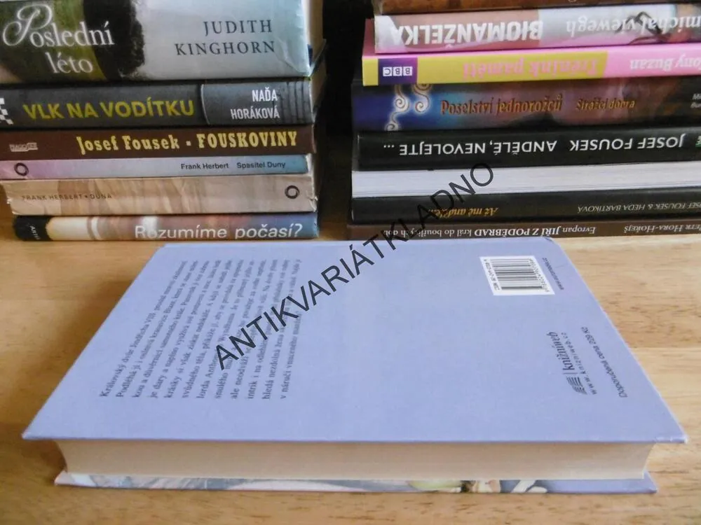 NEBEZPEČNÁ SVŮDNICE, BERTRICE SMALL, **an