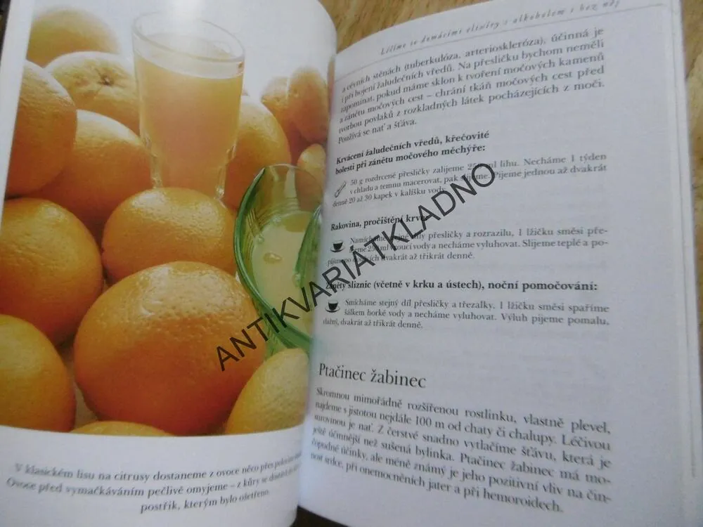 NÁPOJE PRO ZDRAVÍ, ANNA ŠAFRÁNKOVÁ, **an