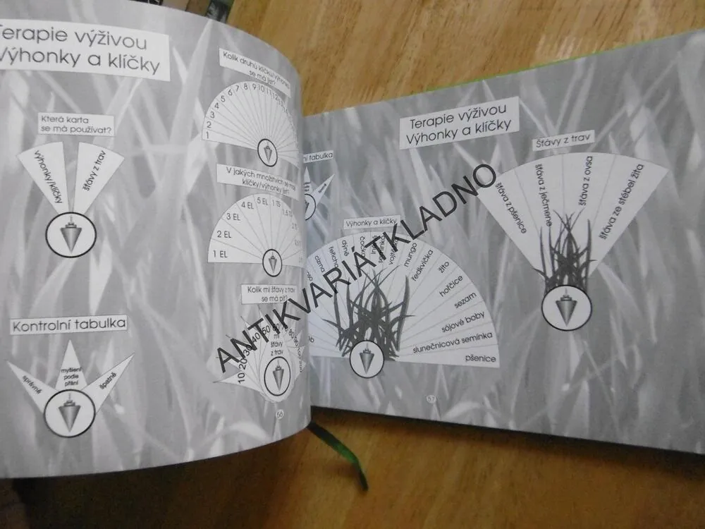KYVADLO, PRAKTICKÁ KNIHA, MARKUS SCHIRNER, **an