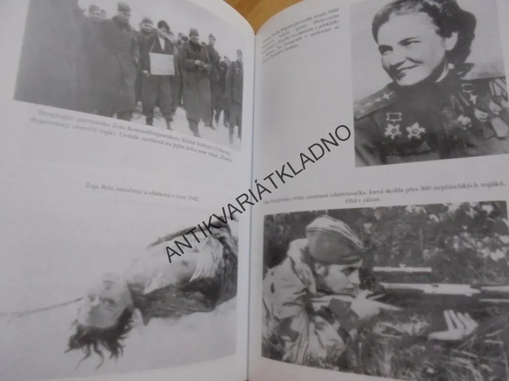 HRDINOVÉ RUSKA, 1941-45, ALBERT AXELL, VÁLKA,BITVA, **an