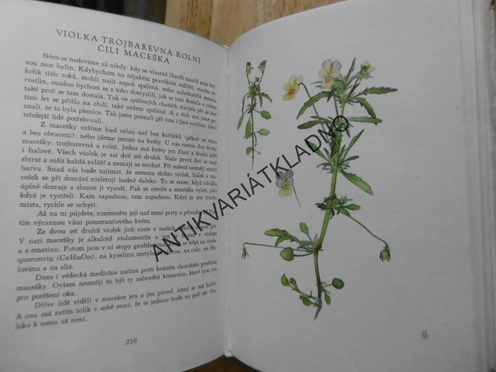 SBÍRÁME LÉČIVÉ BYLINY, JAROSLAV PETRBOK, OTTO UŠÁK, 1958, **an